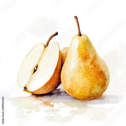 Simple pearls painting design set Hand-painted style, vectorized, vector set available in EPS, Simple Hand-painted watercolor style