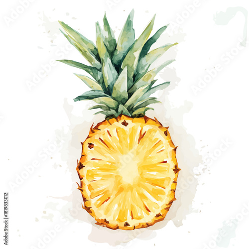 Simple Beautiful pine apple slices painting design set Hand-painted style, vectorized, vector set available in EPS, Simple Hand-painted watercolor style