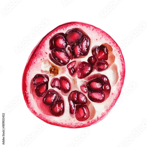 Simple slice pomegranate painting design set Hand-painted style, vectorized, vector set available in EPS, Simple Hand-painted watercolor style