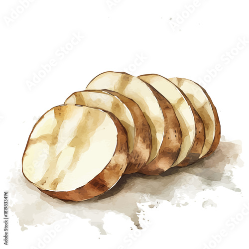 Simple sliced_potato painting design set Hand-painted style, vectorized, vector set available in EPS, Simple Hand-painted watercolor style