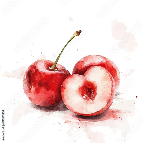Red cherry painting design set Hand-painted style, vectorized, vector set available in EPS, Simple Hand-painted watercolor style