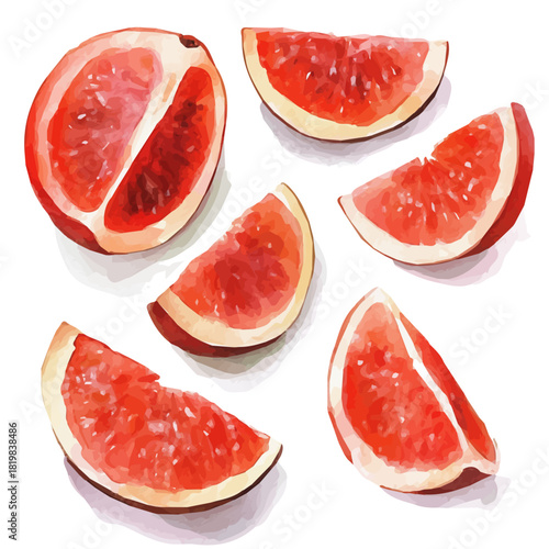 Illustration of red mombin slices painting design set, Hand-painted style, vectorized, vector set available in EPS, Simple Hand-painted watercolor style	