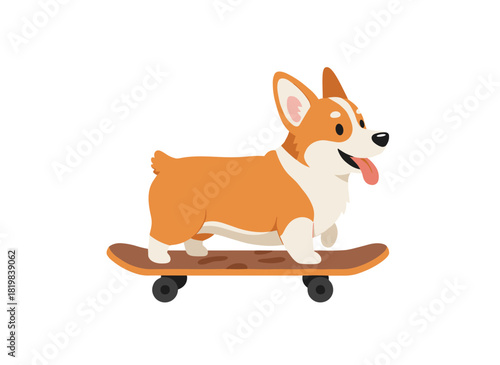 A cute dog on a skateboard, a funny corgi on a skateboard, an adorable active animal skater, an amusing puppy skateboarder, a dog in sports activity, a flat vector illustration on a white background