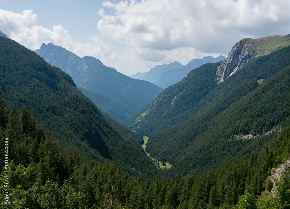 Fototapeta premium Glacial-cut alpine valley floor, steep evergreen slopes, vast remote mountain wilderness panorama