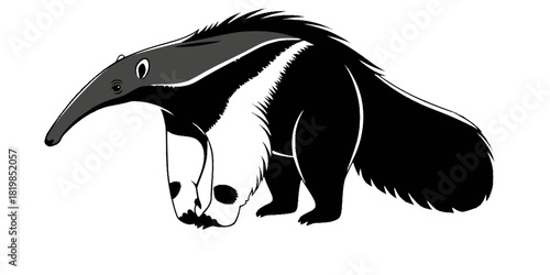 Anteater silhouette, cartoon anteater illustration, tropical animal vector, South American mammal drawing, wildlife design, nature artwork, stylized creature character