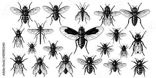 Insect silhouettes collection, fly mosquito bee species, winged bug icon, vector illustration, nature art, entomology design, wildlife fauna, pest control graphic