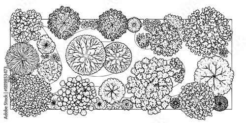 Top view tree canopies, landscape design, architectural plan, foliage diversity, botanical illustration, urban planning, garden layout, greenery clipart, environment element