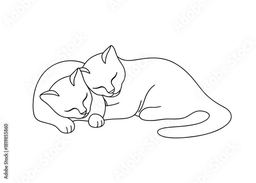 Two cats cuddling together in line art illustration  