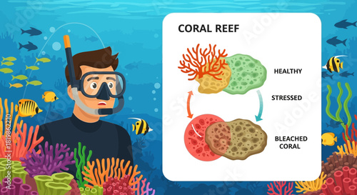 Underwater awareness: A diver confronts the realities of coral reef bleaching