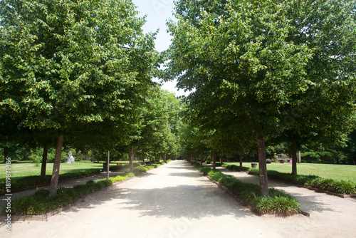 Przepiękny Park miejski, Mont-de-Marsan,  Nowa Akwitania, w departamencie Landy, Francja, Beautiful city park, Mont-de-Marsan, Nouvelle-Aquitaine, in the Landes department, France