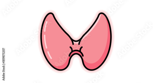 Simplified illustration of the human thyroid gland, a crucial endocrine organ representing metabolic health, hormonal balance, and overall body wellness