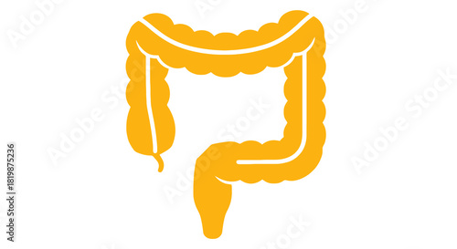 Stylized human colon illustration in a vibrant yellow hue, depicting the large intestine as a medical icon for digestive health, anatomical studies, and gastrointestinal system presentations