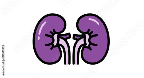 Stylized icon of human kidneys, representing the vital organ of the urinary and renal system. Anatomical illustration for medical, health, and scientific concepts