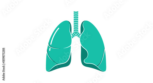 Minimalist Human Lungs Icon Representing the Respiratory System and Anatomy - A Simple Vector Graphic for Medical and Educational Content