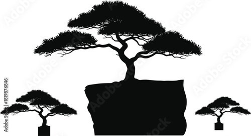 Silhouette bonsai trees set isolated on transparent background with one on rock