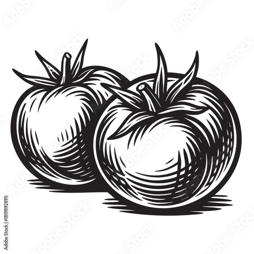 Engraved illustration of two ripe tomatoes with stems, symbolizing freshness and healthy organic vegetable farming.