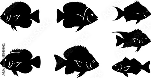 Sea fish silhouette, Fish clipart, Fish silhouette, Saltwater fish silhouette, Sea fish, Ocean fish silhouette, Sea fish vector, Sea fish bundle 