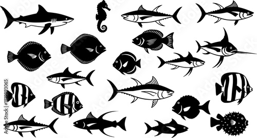 Sea fish silhouette, Fish clipart, Fish silhouette, Saltwater fish silhouette, Sea fish, Ocean fish silhouette, Sea fish vector, Sea fish bundle 