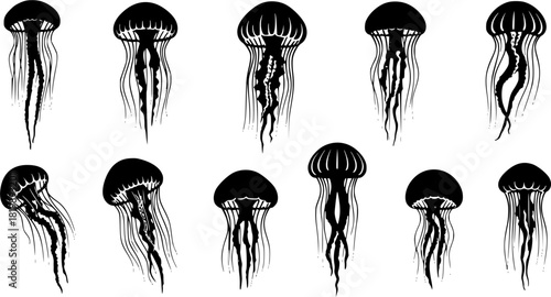 Jellyfish silhouette, Jellyfish vector illustration, Jellyfish, Jellyfish icon set, Jellyfish clipart, Jellyfish silhouette bundle