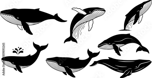 Blue whale silhouette, Whale silhouette, Blue whale, Blue whale icon set, Whale clipart