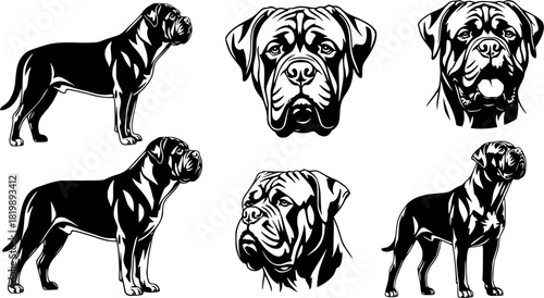 Bullmastiff dog silhouette, Bullmastiff dog, Bull mastiff silhouettes, Dog silhouettes, Bullmastiff clip art