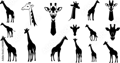 Giraffe silhouette, Giraffe, Giraffe silhouettes, Giraffe vector illustration, Giraffe clipart