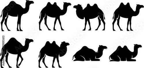 Camel silhouettes, Camel silhouette set, Camel vector illustration, Camel, Camel clipart