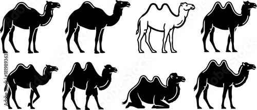 Camel silhouettes, Camel silhouette set, Camel vector illustration, Camel, Camel clipart