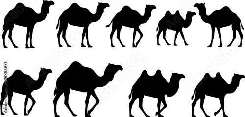 Camel silhouettes, Camel silhouette set, Camel vector illustration, Camel, Camel clipart