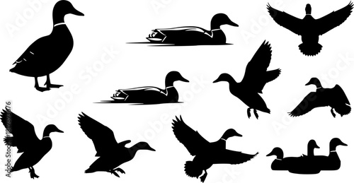 Duck silhouettes, Mallard duck silhouette, Mallard silhouette, Mallard, Flying duck silhouette, Duck hunting silhouette, Duck icon