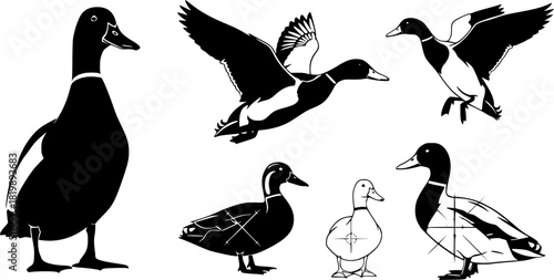 Duck silhouettes, Mallard duck silhouette, Mallard silhouette, Mallard, Flying duck silhouette, Duck hunting silhouette, Duck icon