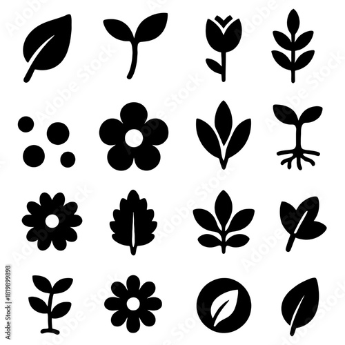 Nature's Palette: A collection of meticulously crafted botanical designs, each a testament to the elegant forms of leaves and flowers.