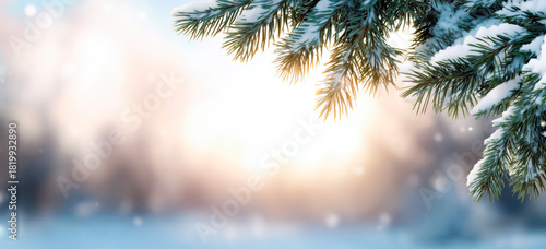Snow-covered pine tree branches glistening under soft sunset light