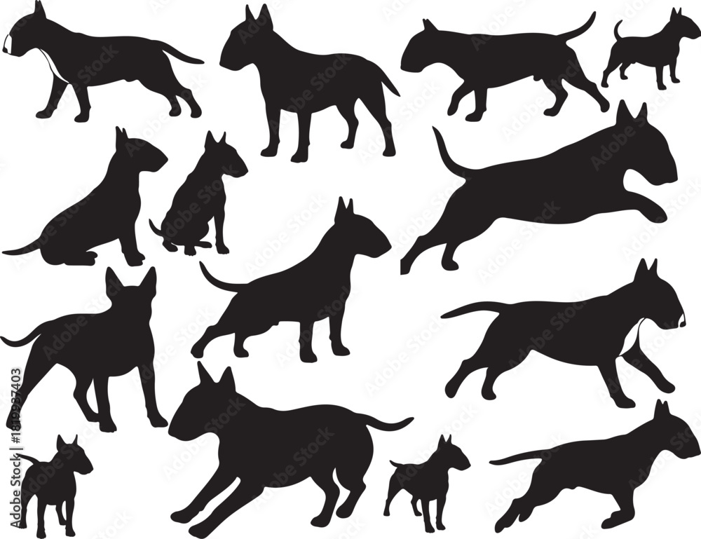 Obraz premium Bull terrier dog silhouette 