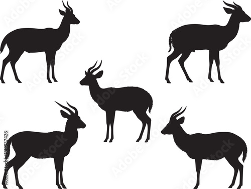 Bushbuck Deer Silhouette