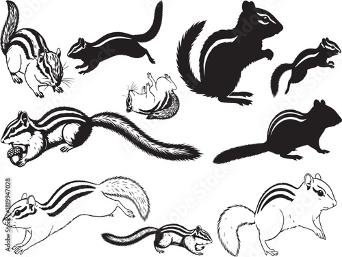 Chipmunk Silhouette
