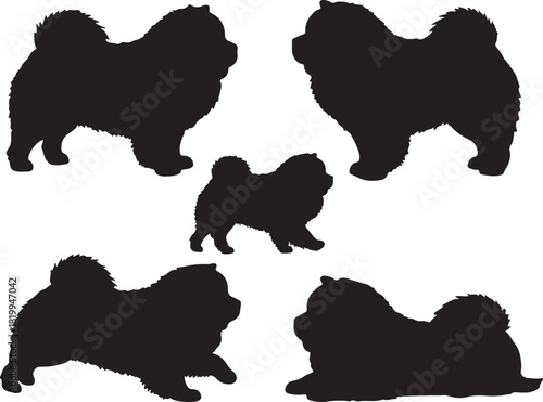 Chow Chow Silhouette
