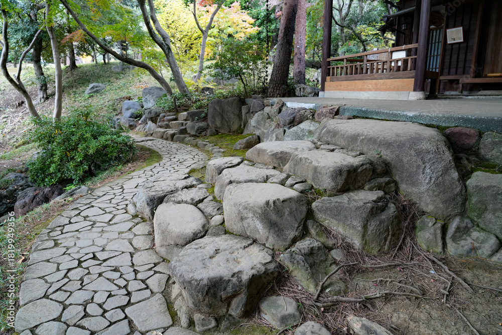 Fototapeta premium 秋の殿ヶ谷戸庭園