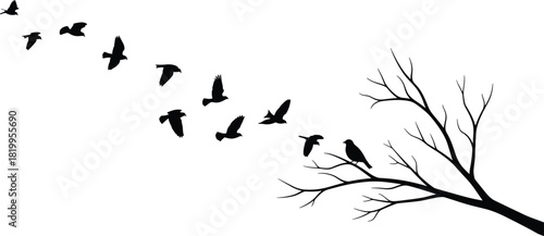 Black vector silhouette of a flock of birds flying away from a leafless tree branch, abstract nature concept illustration for freedom, departure, and seasonal change design.