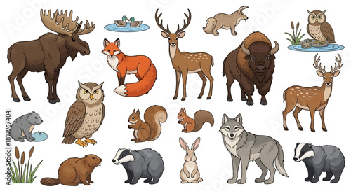 Collection of forest animals and wildlife creatures in vector cartoon style with mammals and birds