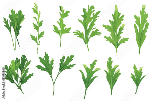 Adobe Illustrator Artwork