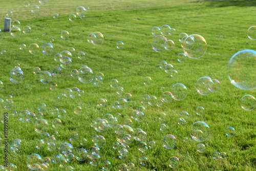 all the pretty bubbles