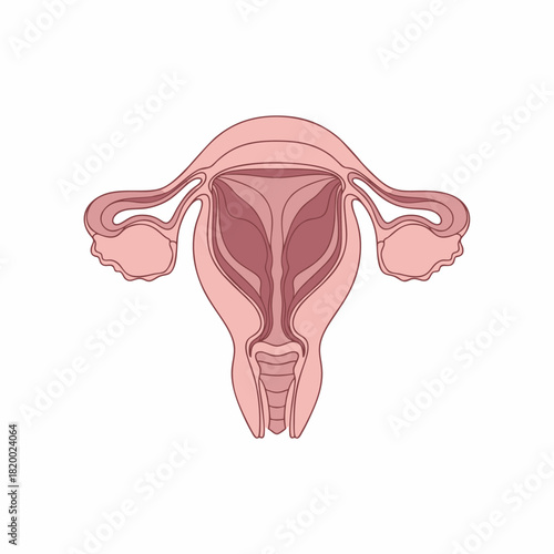 vaginal vector