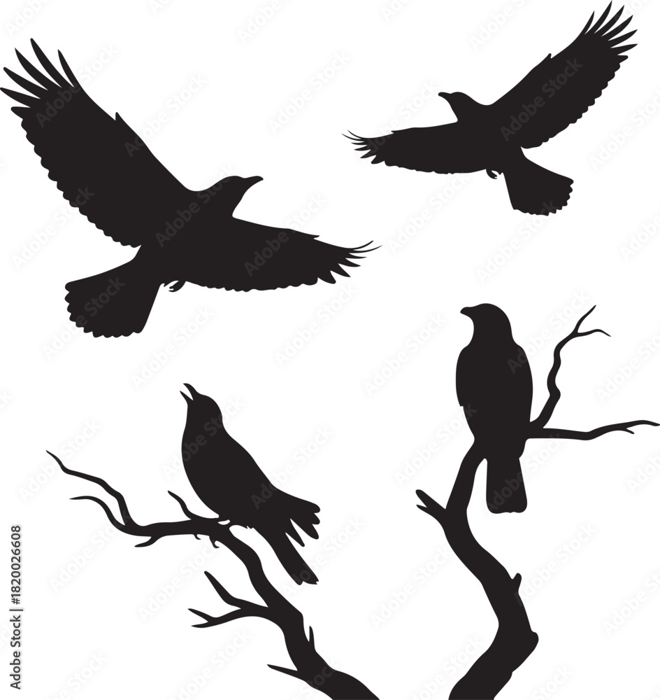 Fototapeta premium Silhouettes of Crows and Ravens Flying and Perched on Bare Branches Against a Vibrant Orange Sunset Sky, Evoking Wild Nature and Freedom.