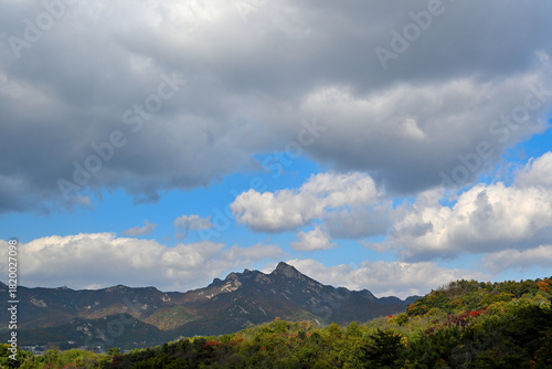A mountain trunk that shows the feeling of autumn under a rather cloudy blue sky
