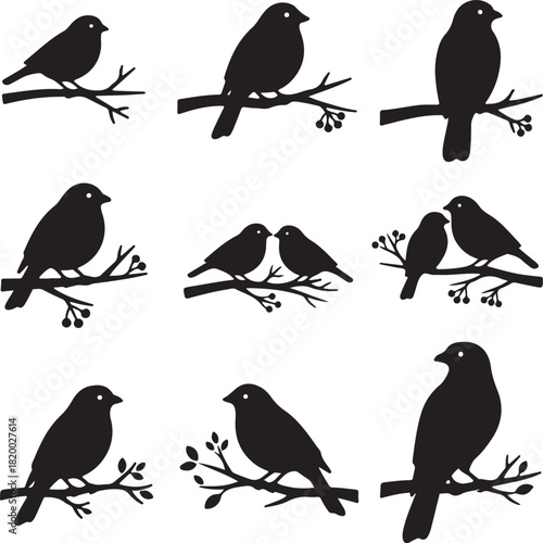 Collection of Black Bird Silhouettes Perched on Branches, Featuring Various Songbirds and Lovebirds, Ideal for Nature-Themed Designs and Graphics.