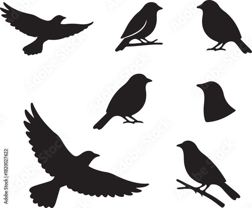 Collection of Black Bird Silhouettes Various Flying and Perching Songbird and Dove Vector Graphics Isolated on White Background.