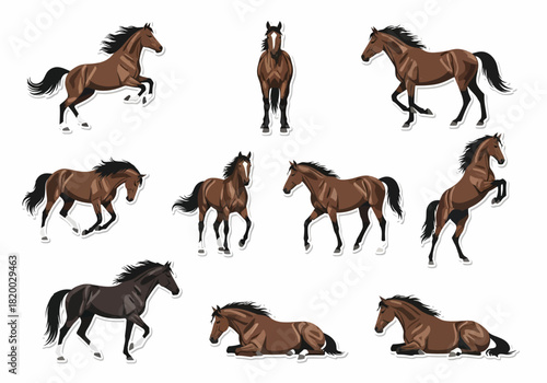 Dynamic Horse Poses Collection of Equine Illustrations
