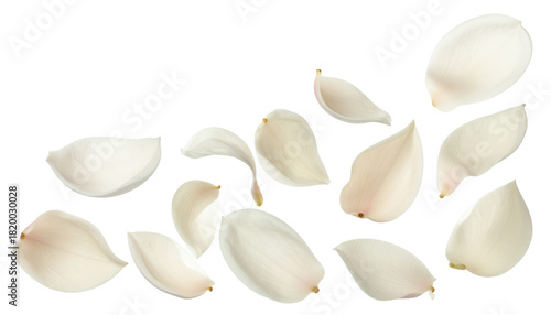 Close-up of scattered garlic cloves with soft shadows, isolated on a white background, creating a clean and versatile culinary element