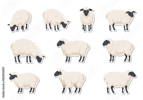 Sheep Vector Set Farm Animals Illustration Collection